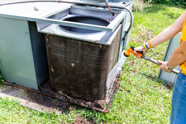 Best Air Duct Sanitizing Services  in Rosamond, CA